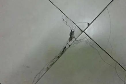 新房住两年瓷砖起鼓无缝贴砖不靠谱怎么看(图2)