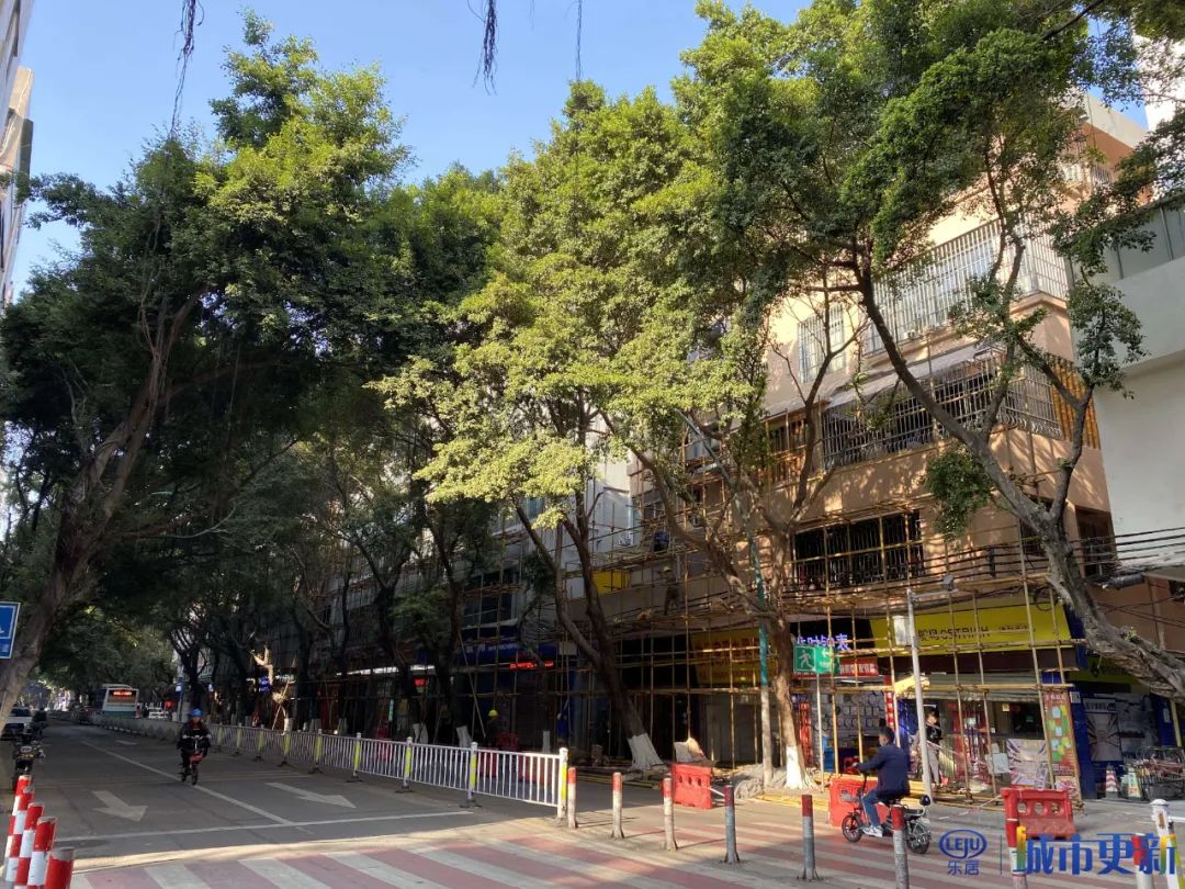 2022年了！番禺晒布社区还没等到旧城改造(图18)