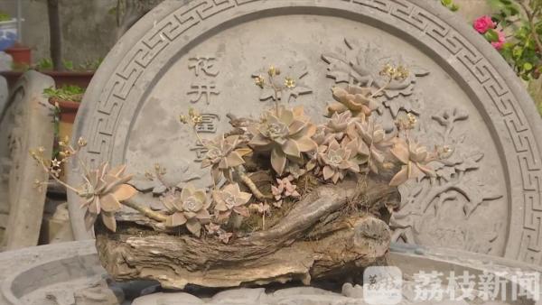 非遗传承人琢磨出盆景配砖雕 复古又新潮(图1)
