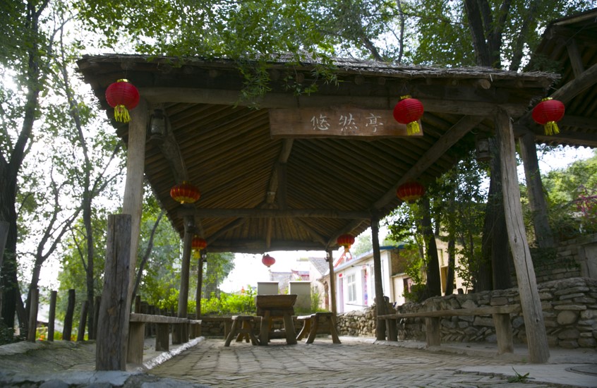 “大道康庄——人民网全媒体调研行”走进宁夏隆德--大道康庄-人民网全媒体调研行--(图3)