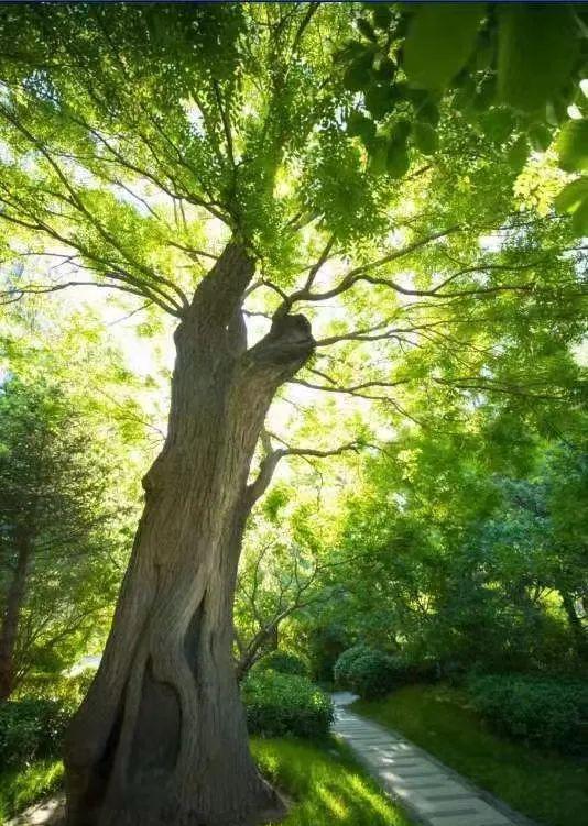 北京丰台【紫辰院】售楼处出事了！ —紫辰院内幕(图8)