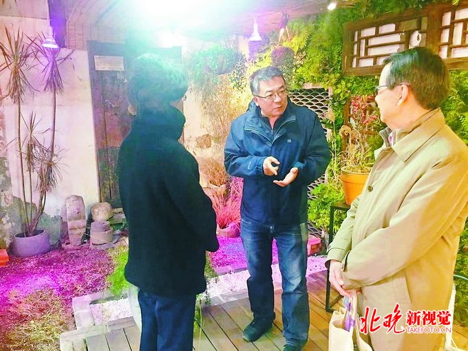关停扰民酒吧不刷灰少贴砖 这才是北京胡同应有的样子！ 北晚新视觉(图2)