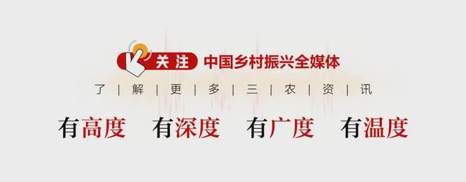 乡村工匠 卜文俊：传承魏氏砖雕技艺 让农民挣上“文化钱”(图3)