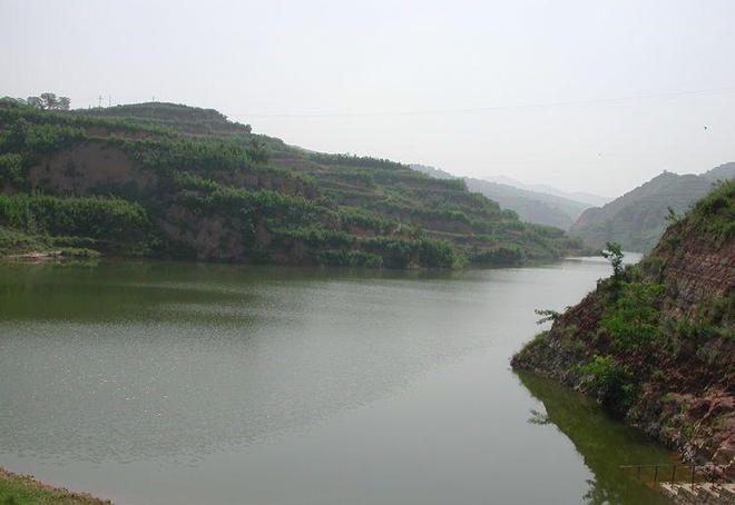 三门峡市湖滨区磁钟乡：抓好项目建设 盘活乡村经济(图2)