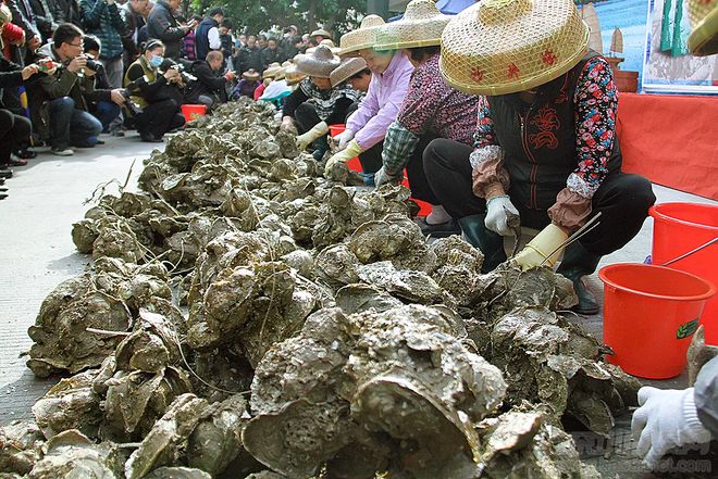 文化重塑文旅产业将成为粤港澳大湾区经济关注之焦点(图14)